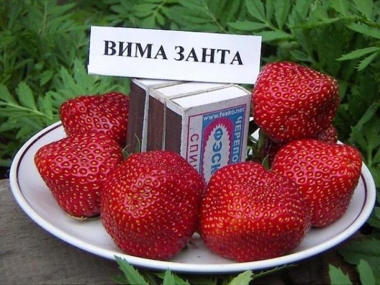 Миниатюра 2