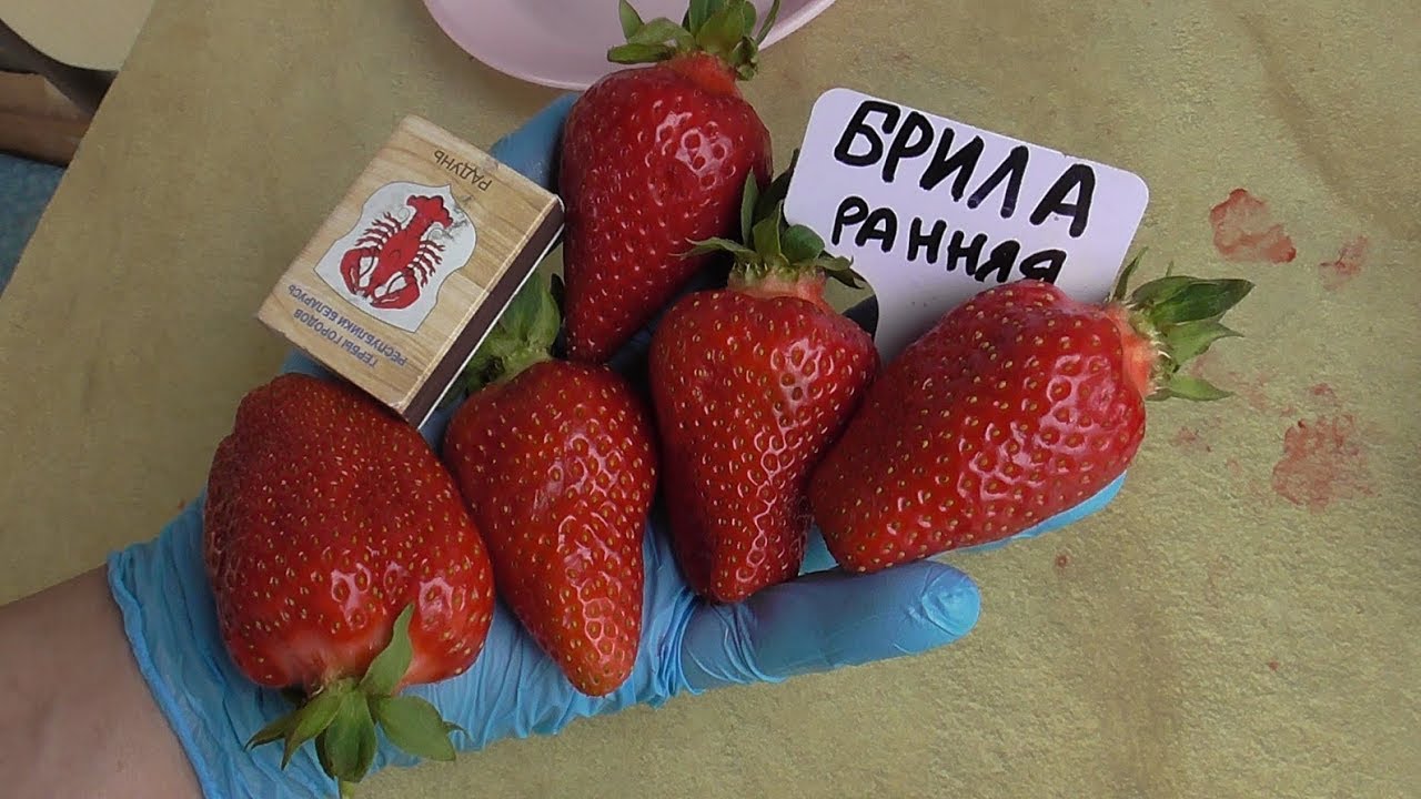 Миниатюра 2