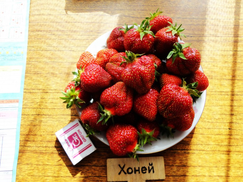Миниатюра 3