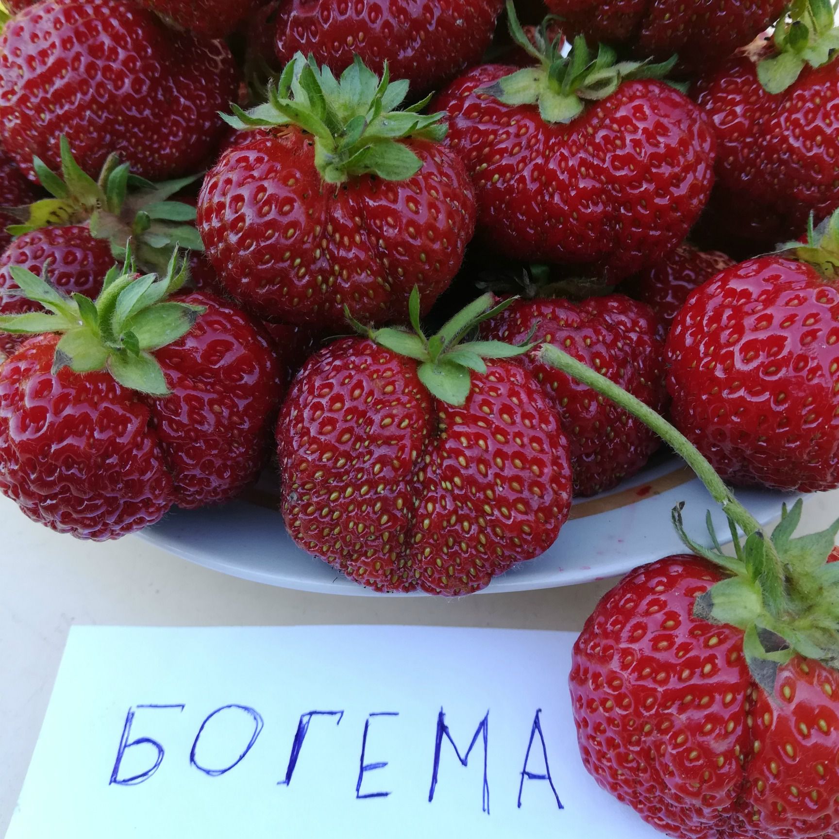 Миниатюра 4