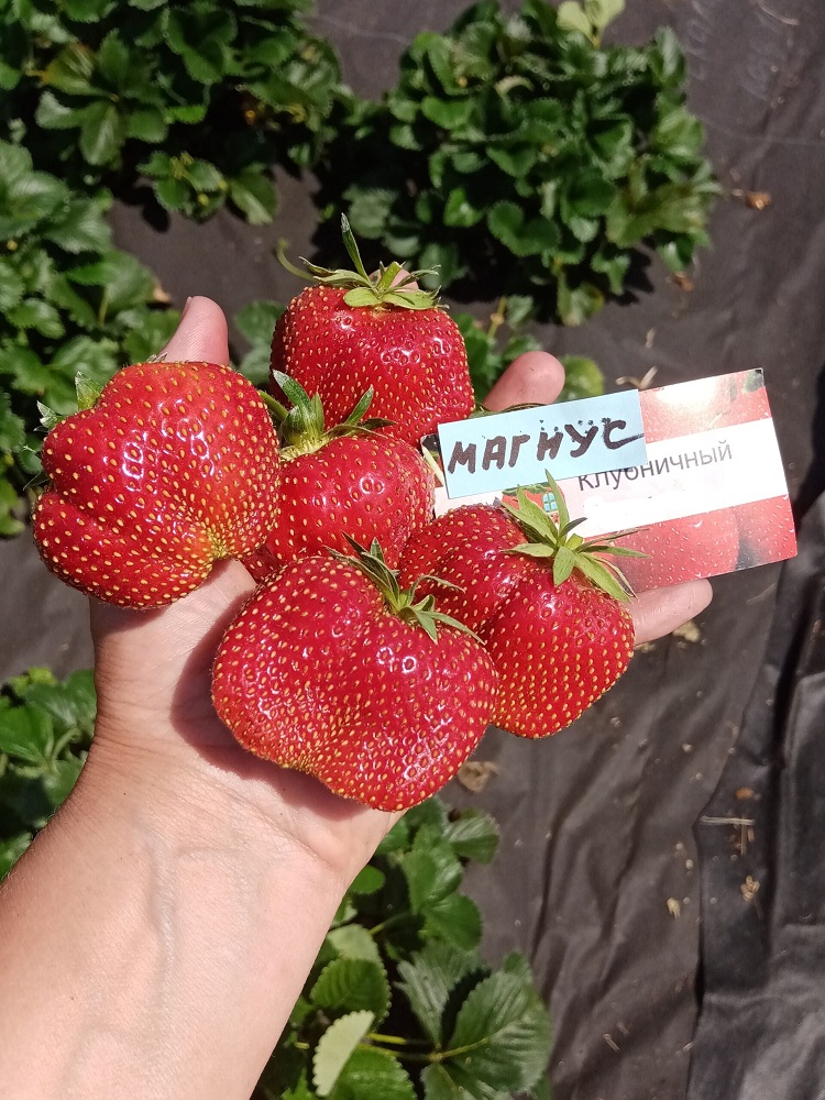Миниатюра 2
