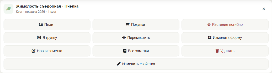Плашка выделенного объекта, десктоп