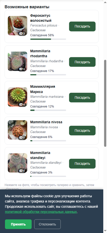 Список результатов определения: Ферокактус волосистый 58%, Mammillaria rhodantha 17%, кнопки Посадить