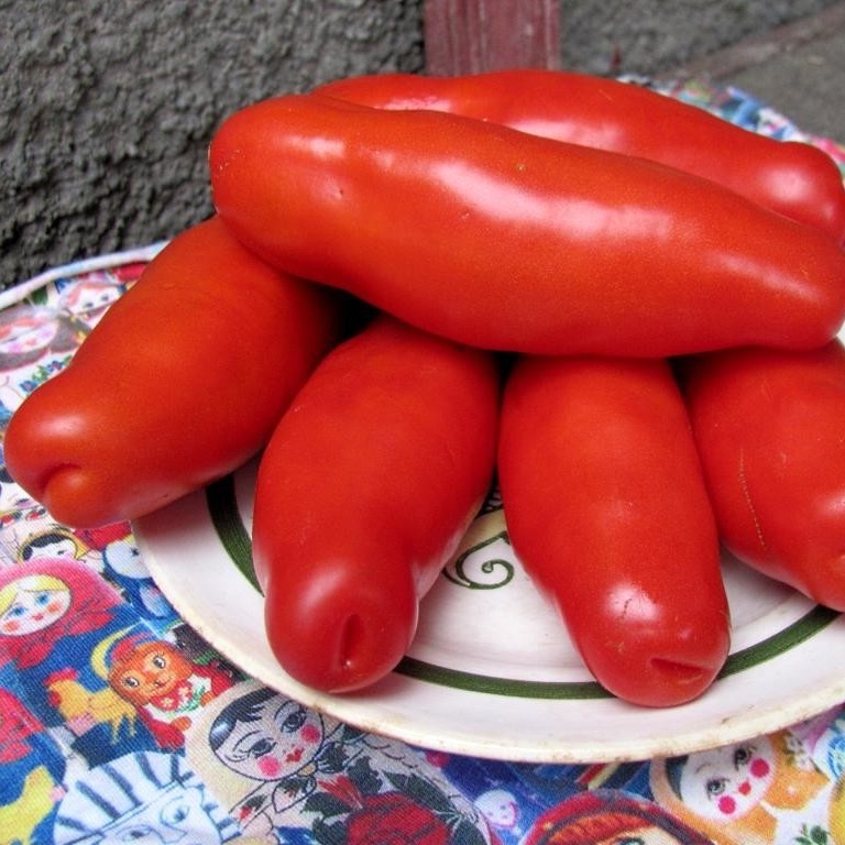 Миниатюра 3