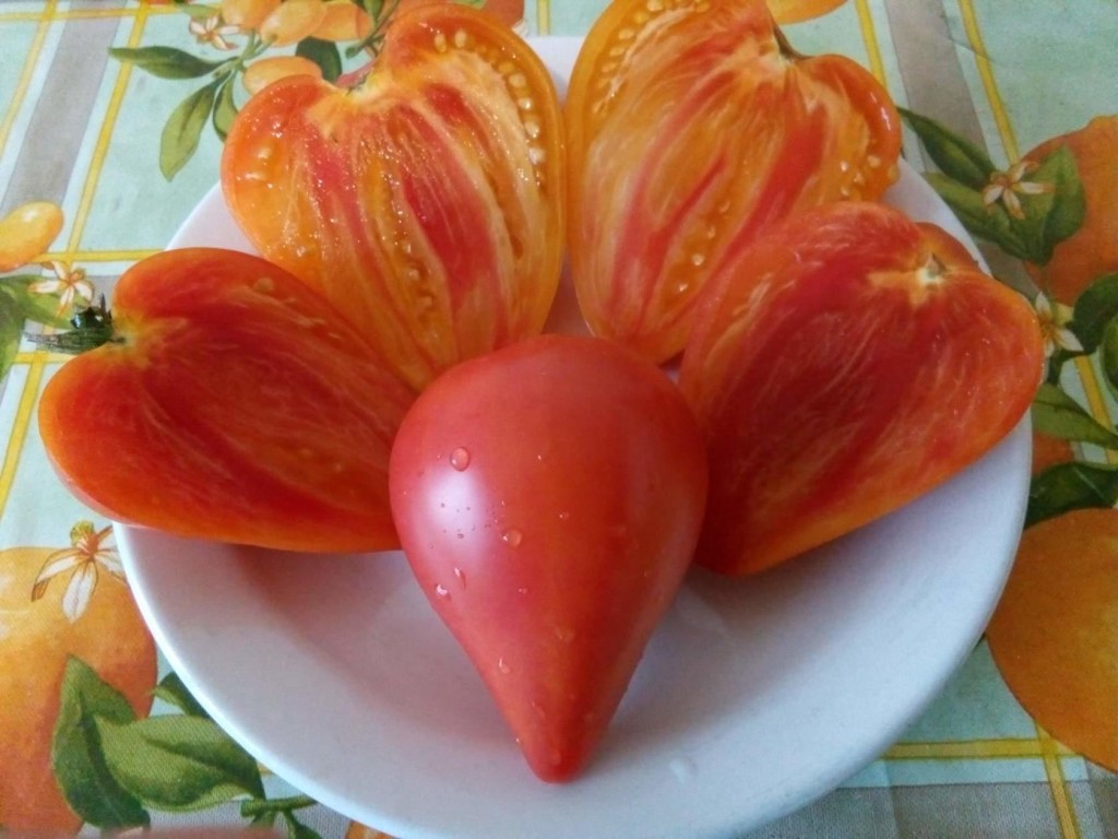 Миниатюра 5