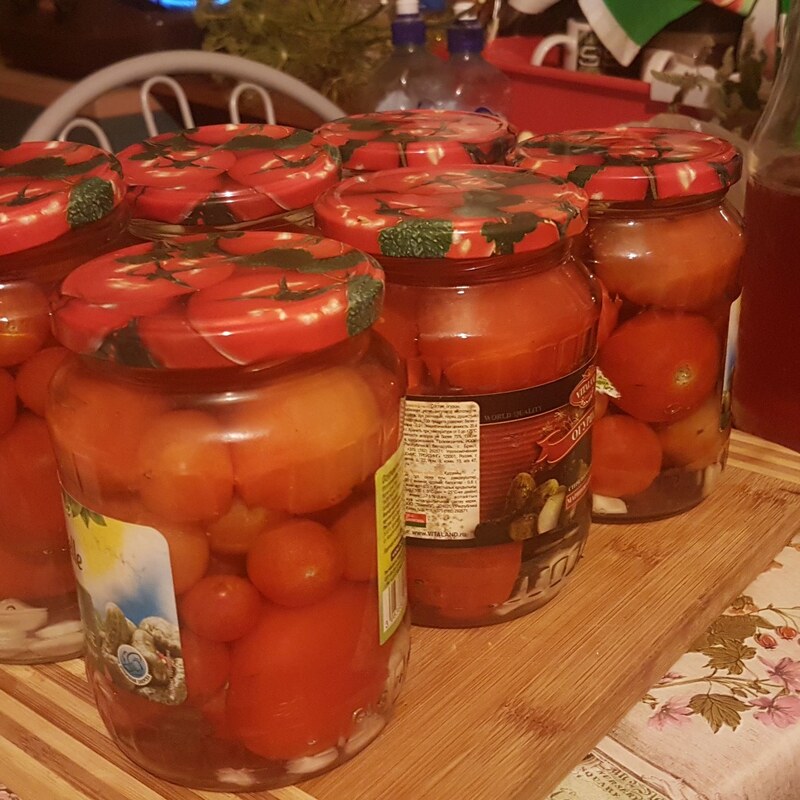 Томат Санька  20 шт  /10