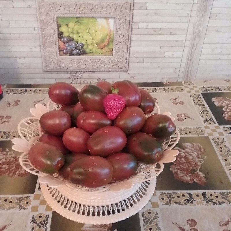 Томат Черный Мавр  0,1гр/20
