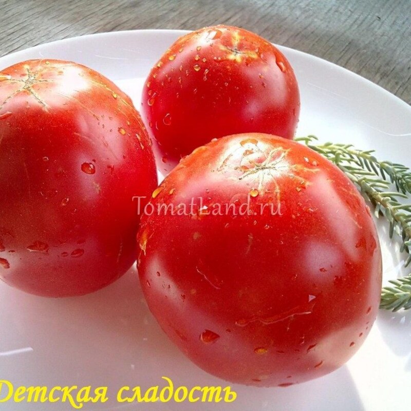 Томат Детская сладость 0,05 гр /20