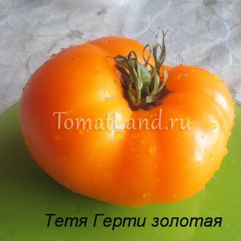Томат Золотой Тёти Герти 10 шт./10